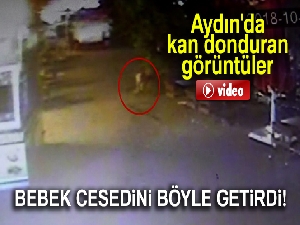 Aydın'da kan donduran görüntüler