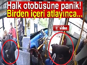 Halk otobüsüne binen köpek paniğe neden oldu