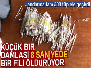 Küçük bir damlası 8 saniyede bir fili öldürebilir