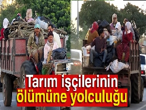 Tarım işçilerinin ölümüne yolculuğu
