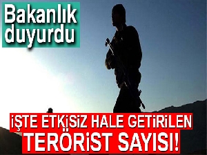 İçişleri Bakanlığı duyurdu! 45 terörist etkisiz hale getirildi