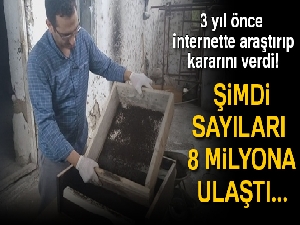 Solucanlardan doğal gübre üretiyor