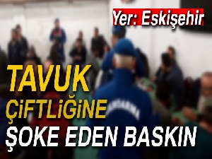 Tavuk çiftliğine 'şok' kumar baskını