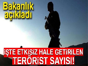 Milli Savunma Bakanlığı: 'Son bir haftada 17 terörist etkisiz hale getirildi'