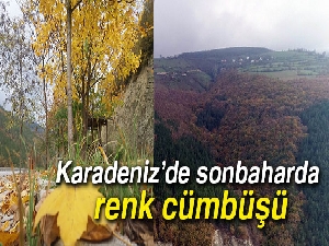 Karadeniz'de sonbaharda renk cümbüşü