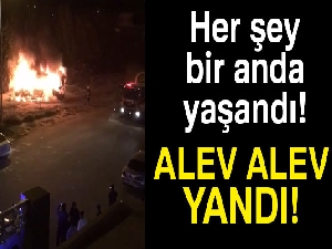 Park halindeki minibüs alev topuna döndü