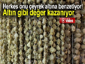 'Çeyrek altın' üretimi 2 bin tondan fazla