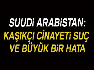 “Kaşıkçı cinayeti suç ve büyük bir hataydı"