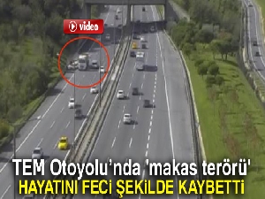 TEM Otoyolu'nda 'makas terörü': 1 kişi hayatını kaybetti