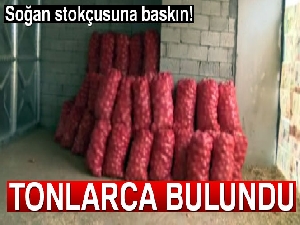 Soğan stokçusuna yapılan baskında 100 ton soğan bulundu