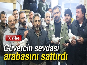 Güvercin sevdası arabasını sattırdı