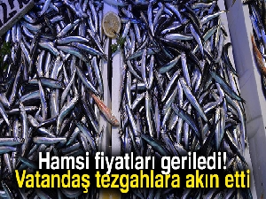 Hamsi fiyatları 5 TL'ye kadar gerileyince vatandaş tezgahlara akın etti