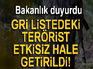 PKK'nın sözde Erzurum sorumlusu etkisiz hale getirildi