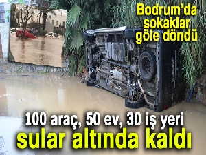 100 araç, 50 ev, 30 iş yeri sular altında kaldı
