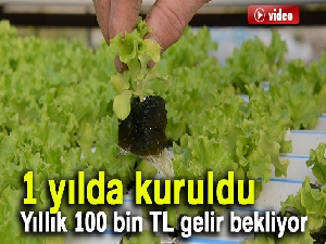 Kurduğu topraksız tarım sistemiyle yıllık 100 bin TL kazanmayı hedefliyor