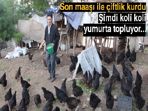 Son maaşı ile çiftlik kurdu, koli koli yumurta topluyor