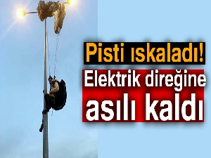 Pisti ıskaladı, elektrik direğine asılı kaldı