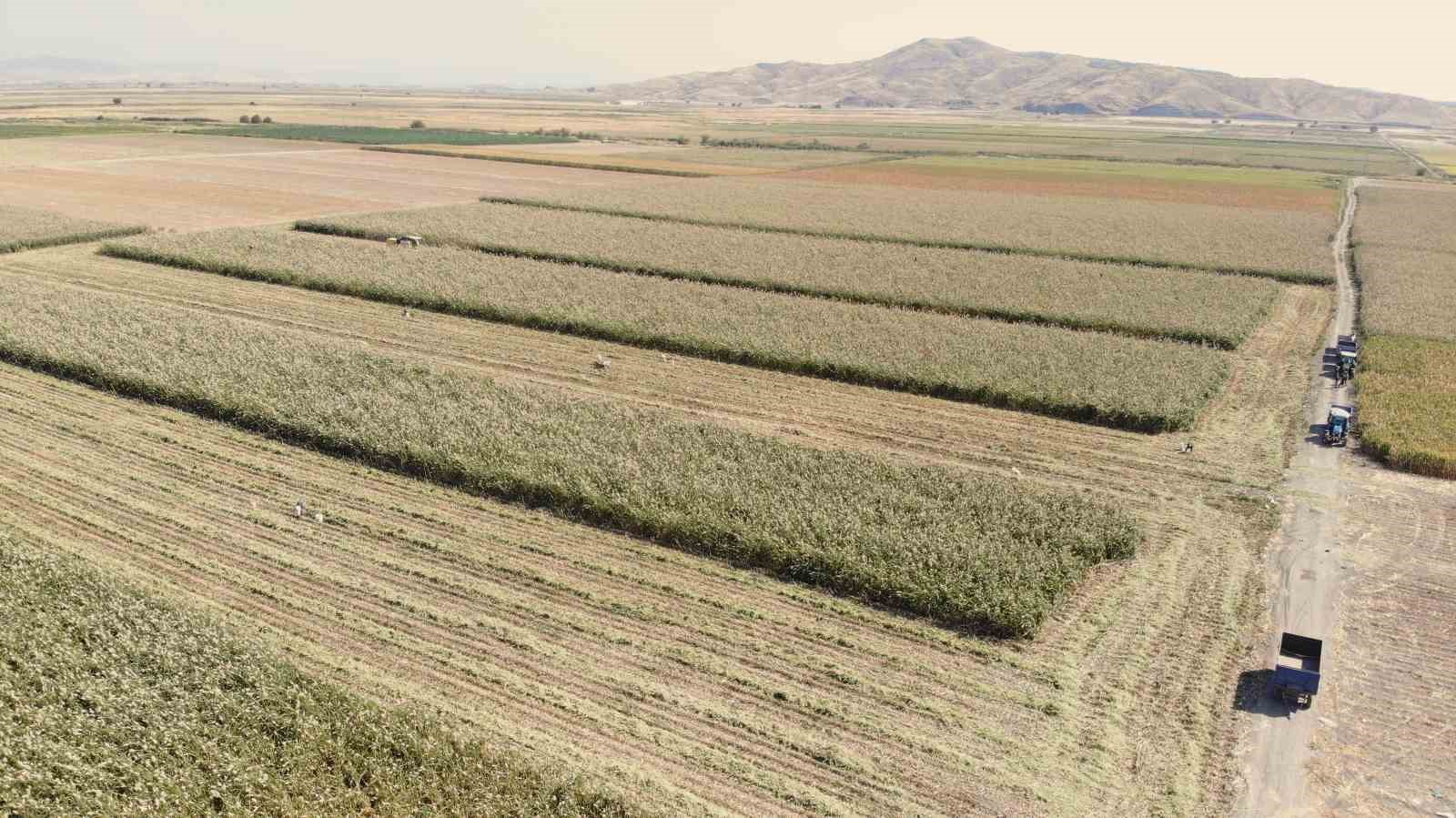 kahramanmaras-ta-ak-dari-hasadina-baslandi