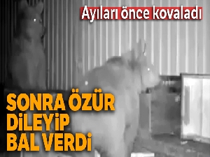 Ayıları önce kovaladı, sonra özür dileyerek bal verdi