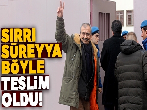 HDP'li eski vekil Sırrı Süreyya Önder tutuklandı