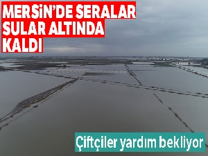 Mersin'de seralar sular altında kaldı