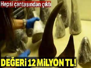 Atatürk Havalimanı'nda 12 milyon TL değerinde gergedan boynuzu operasyonu