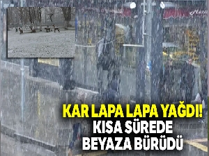 Kar lapa lapa yağdı, kısa sürede beyaza bürüdü