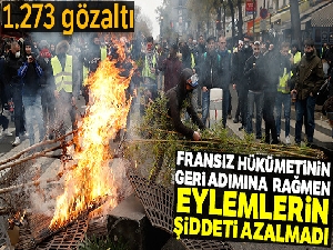 Fransa'daki eylemlerde bin 723 kişi gözaltına alındı