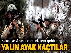 Kawa ve Aras'a destek için geldiler, yalın ayak kaçtılar
