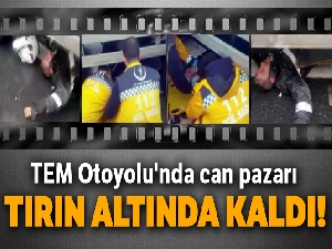 TEM Otoyolu'nda can pazarı kamerada