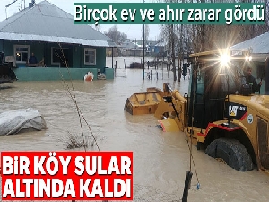 Sağanak yağış köyü sular altında bıraktı