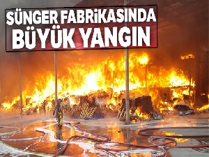 Sünger fabrikasında korkutan yangın