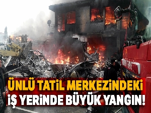 Alaçatı'da çıkan yangın güçlükle kontrol altına alındı