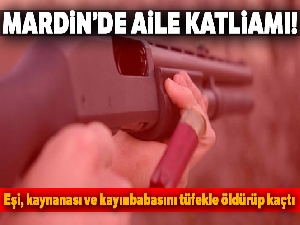 Mardin'de pompalı tüfekle aile katliamı: 3 ölü