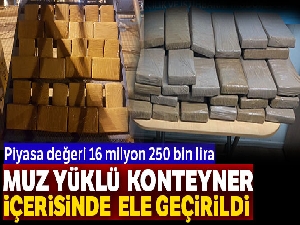Muz yüklü dediler 16 milyon değerinde kokain çıktı