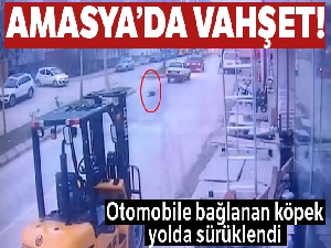 Otomobile bağlanan köpek yolda sürüklendi