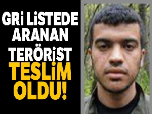 Gri listede aranan terörist teslim oldu