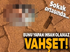 Sokak ortasında silahla vurduğu köpeği çöp konteynerine attı