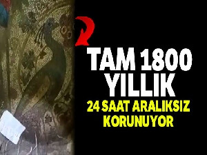 Definecilerin satmaya çalıştığı mozaik bin 800 yıllık çıktı