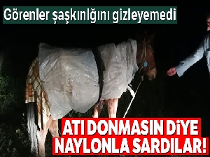 Atı donmasın diye naylonla sardılar