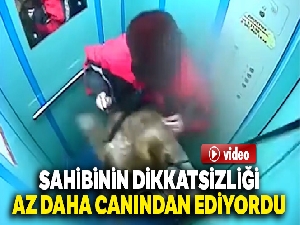 Sahibinin dikkatsizliği az daha canından ediyordu