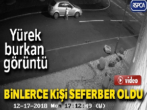 Köpeğini terk etti, binlerce kişi sahiplenmek istedi