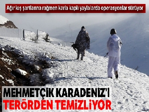 Gümüşhane yaylalarında terör operasyonu