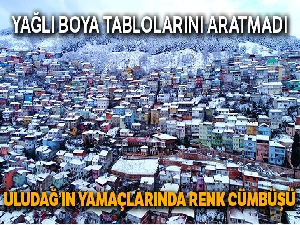 Uludağ'ın yamaçlarında renk cümbüşü