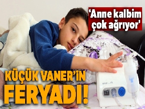 Küçük Vaner'in feryadı yürek burktu
