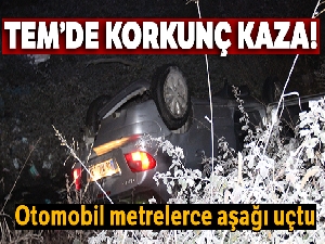 TEM'de kontrolden çıkan otomobil yoldan metrelerce aşağı uçtu: 2'si çocuk 6 yaralı