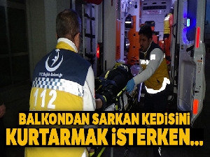 Kedisi için canından oluyordu