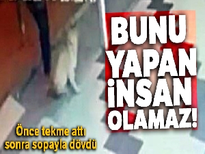 Önce köpeğe tekme attı sonra sopa ile saldırdı