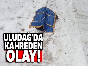 Uludağ'da aç hayvanlara yemek götürürken öldü
