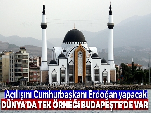 Dünyada tek örneği Budapeşte'de var